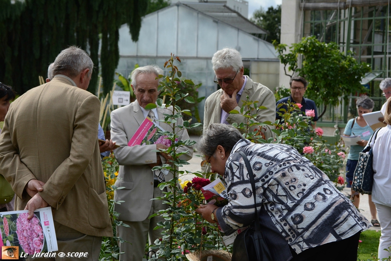 Jury Concours international de roses d'Orléans 2016