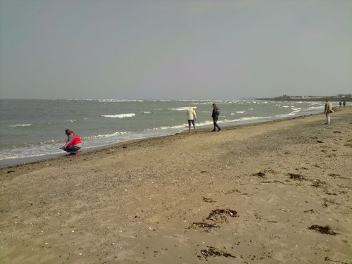 La plage ! Pas très jolie, mais la plage quand même !!!