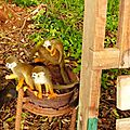 P1010482
