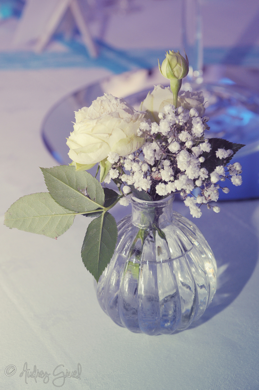 Mariage Emeline et Thomas (237)