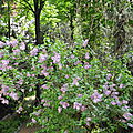 DSCN2101