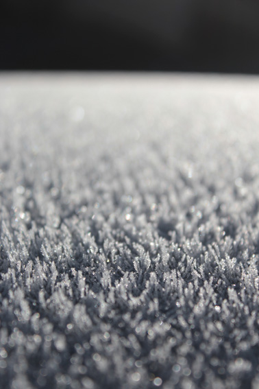 givre_sur_le_toit_de_ma_voiture2015_janvier_1