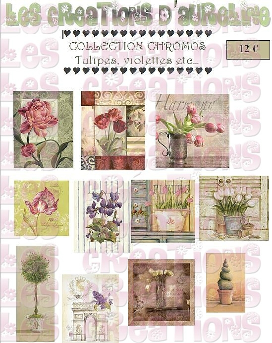 pochette tulipes violettes
