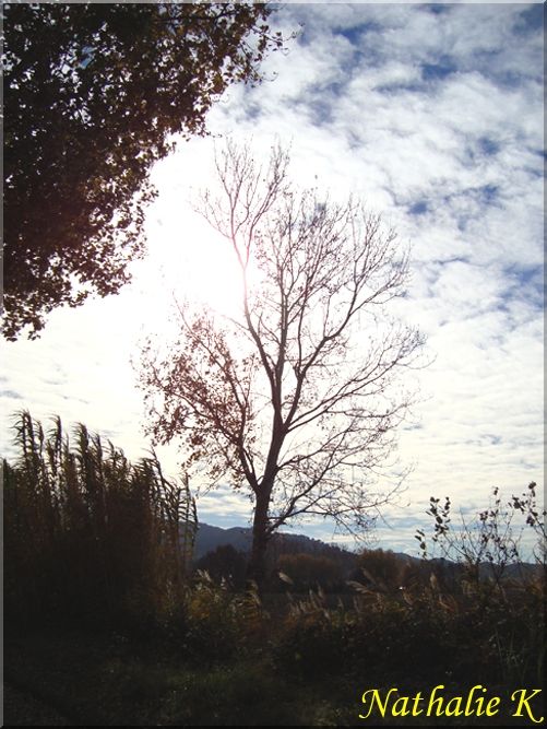 _c_LNK_le_12_novembre_2010_054_copie