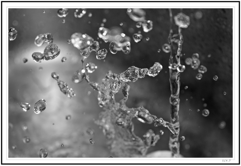 Danse Avec Leau Photogénies