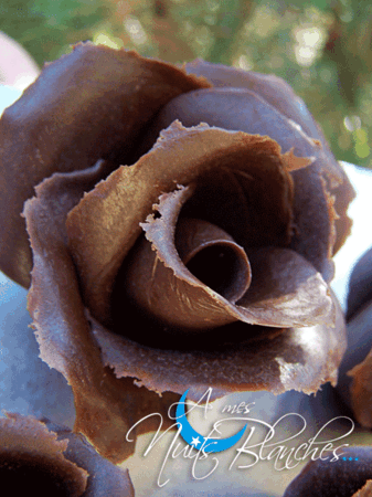 rose_chocolat18