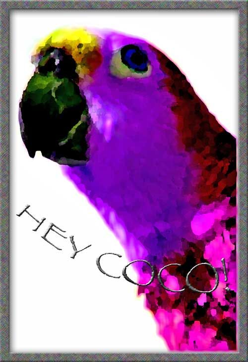 coco