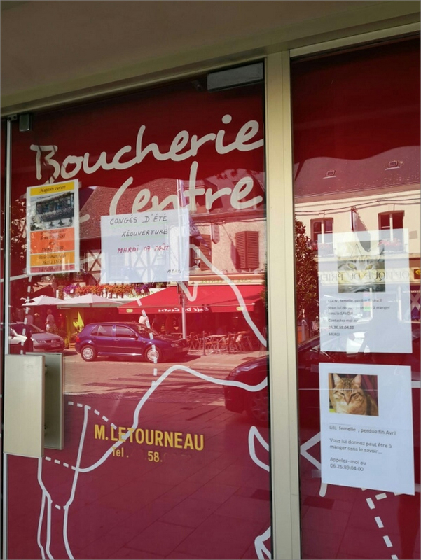 affiches chats perdus vitrine boucherie 082018