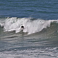 IMG_8134