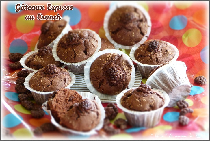 ღ Miam Gateaux Express Au Chocolat Et Cereales Crunch Miam La Cuisine De Cath