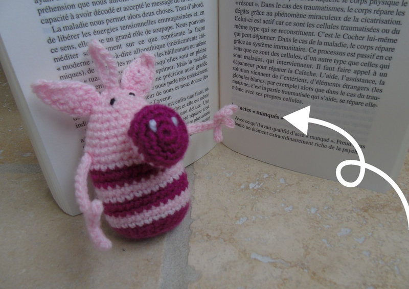 cochon au crochet_acte manque