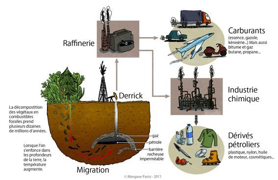 illus 04 circuit du pétrole copie