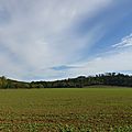 pechdavid (10)