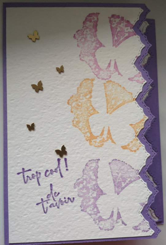 6c Carte Amazing silhouettes Envolée de papillons