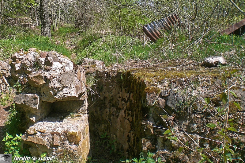 Hartmannswillerkopf-Tranchée-3