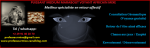 113213715 (1)