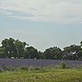 _DSC0557