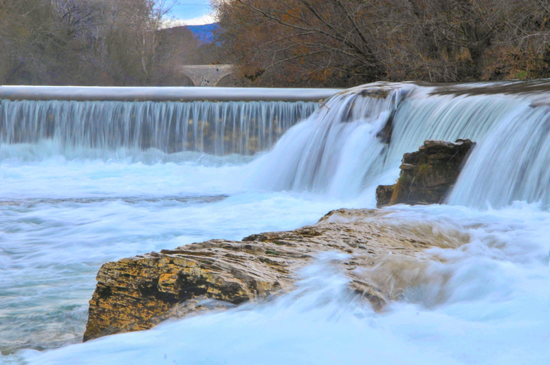 DSC_8350-