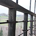 IMG_5943