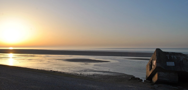 DSC_0495.JPG
