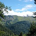 dscn3519