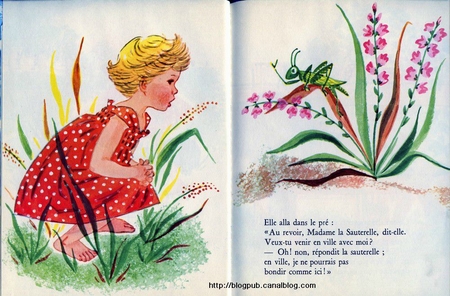 amis 61 colette032