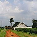 cuba99__001