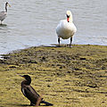 IMG_8977