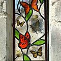butterflies-stained glass - clotilde gontel