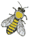 abeille17