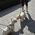 _DSC0060