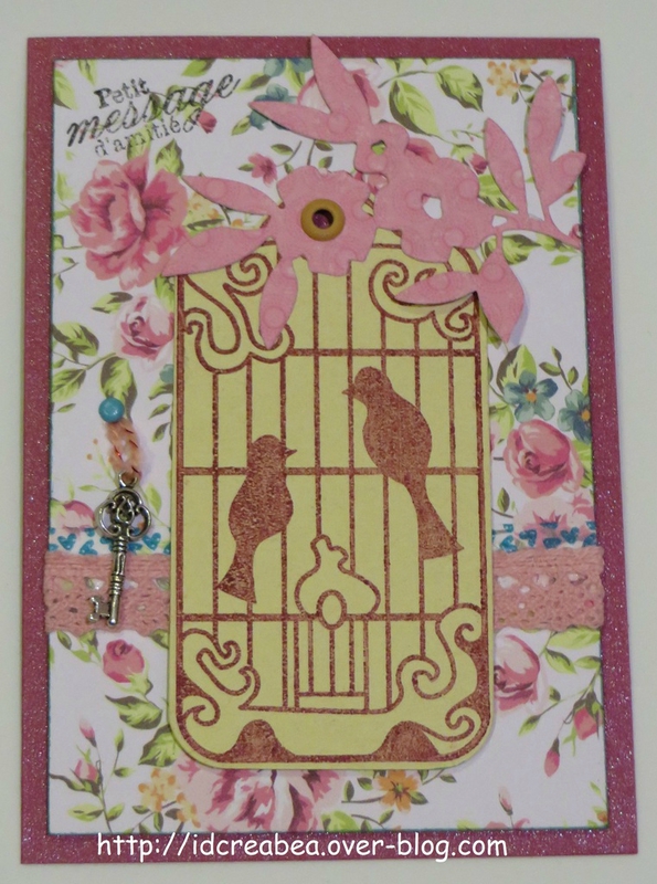 ob_bcda6b_carte-cage-oiseaux-defi-404-pcc-8-15