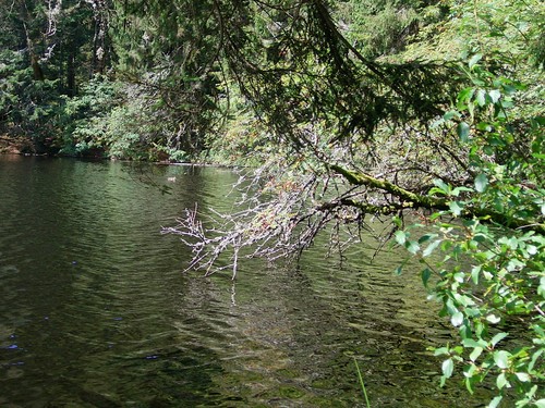 Glaswaldsee