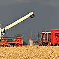 IMG_4190