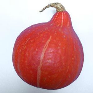 potimarron