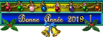 2019-gif-bandeau-bonne-annee-guirlande-houx