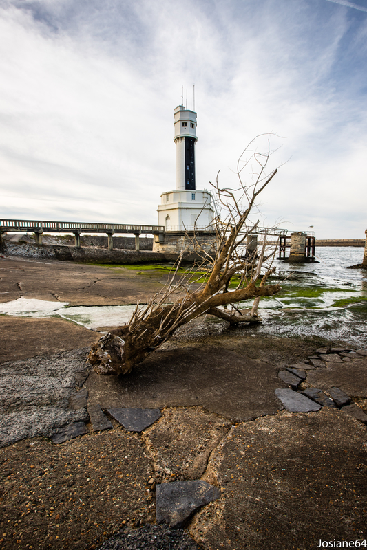 13102018-_MG_4726