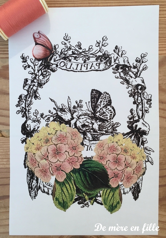 hortensias roses et papillon