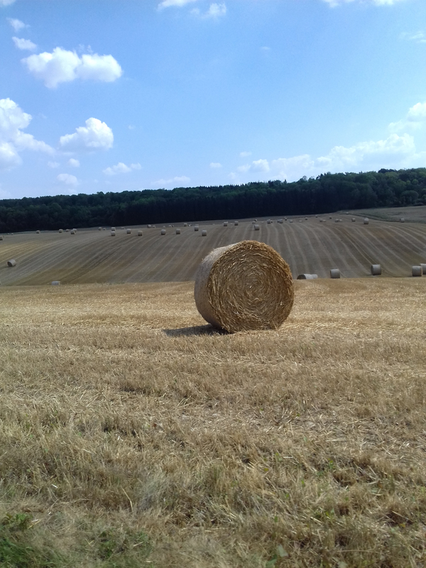 20180722_155148