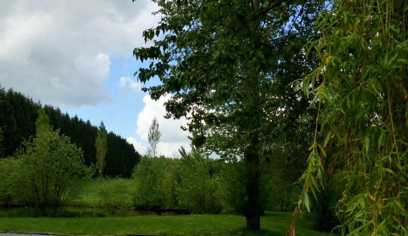 P1630930
