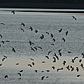 IMG_0336 - Copie
