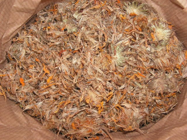 Fleur d'Arnica Montana - A very Nice life