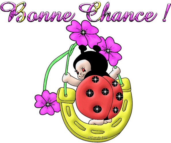 Bonne Chance Pour La Suite En Anglais