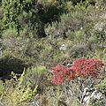 P1070376 (2)