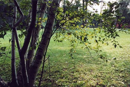 31593995_d2fe081589