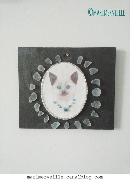 médaillon chat sur ardoise(Dessin transfert E. Feuillebois)