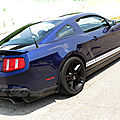 GT500Shelby_Tasunkaphotos2018_05