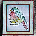 carte-oiseaux