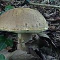 DSC05225