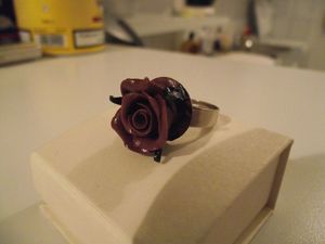 DSCF4508